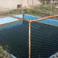 باغ پسته بینالود 3000متر 50دقیقه آب چاه|فروش دفتر صنعتی، کشاورزی، تجاری|ملک‌آباد, |دیوار