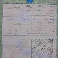 650متر-باغ-سندشش-دانگ-تک-برگ-قابل-تبدیل-ب-مسکونی