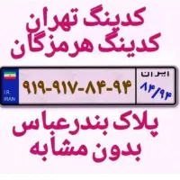 0917-0-161-911