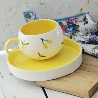 ست ماگ و زیرش