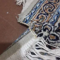 فرش ۱۲متری|فرش|آمل, |دیوار