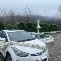 کرایه ماشین عروس با پایین ترین قیمت|خودرو اجاره‌ای|لاهیجان, شیخ زاهد|دیوار