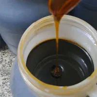 شیره توت|خوردنی و آشامیدنی|رباط‌کریم, الارد|دیوار