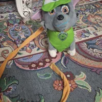 سگ موزیکال|اسباببازی بچه|قرچک, مهدیه|دیوار