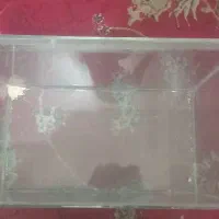 اکواریوم