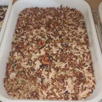 سوسک اصلاح نژاد شده وکرم میلورم|خزنده|الوند, |دیوار