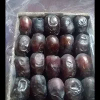 خرما دو ردیف