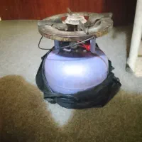 پیک نیک