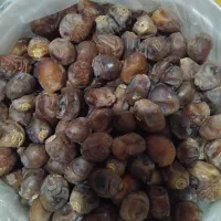 خرما برهی