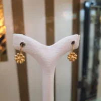 انواع گوشواره لوکس شارژ شد