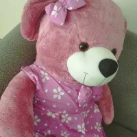 شاسخین درحد نونورنگ خاص