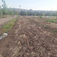 باغ ۴۵۰۰ بر اصل جاده سراب نیلوفر|فروش زمین و ملک کلنگی|کرمانشاه, |دیوار