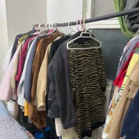 رگال لباس بزرگ|بندرخت و رخت‌آویز|فردیس, نگارستان|دیوار