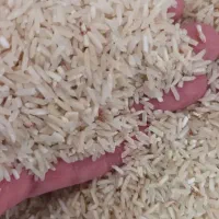 برنج محلی تمیزکیلویی۲۸۰