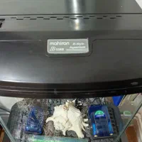 آکواریوم ماهیران|ماهی|کرج, شاهین‌ویلا|دیوار