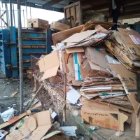 خرید کارتون