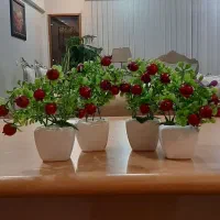 گل تزئینی مصنوعی|گل مصنوعی|اصفهان, خواجو|دیوار