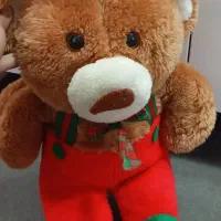 عروسک|اسباب‌بازی بچه|بیرجند, |دیوار