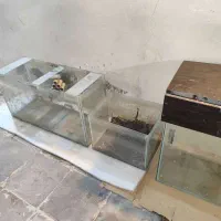 تعدادی آکواریوم