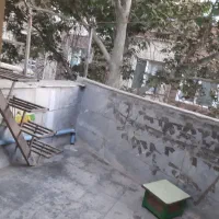 ۶۰ متر دربستی سی متری جی برادران فلاح|اجارهٔ خانه و ویلا|تهران, جی|دیوار