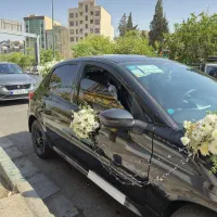 سفارش تزیین ماشین عروس کد ۱۶۶۸ گلاریس|گل و گیاه طبیعی|تهران, جردن|دیوار