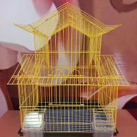 قفس عروس هلندی طوطی برزیلی مرغ عشق کاسکو قناری فنچ|لوازم جانبی حیوانات|تهران, نیروی هوایی (پیروزی)|دیوار