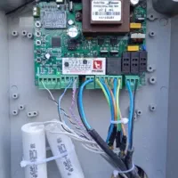 جک ایتالیایی فونیکس