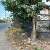 ۳۷۰ متر زمین با ۱۰۰ متر بنا مناسب همه شغل|اجارهٔ مغازه و غرفه|رشت, پیله داربن|دیوار