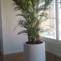 استخدام منشی، کاربر،