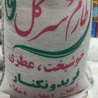 برنج طارم