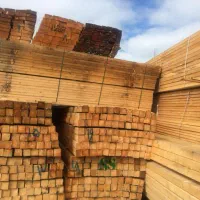 چوب نراد سربندی اعلائی