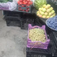 مغازه|فروش مغازه و غرفه|رشت, شهرک صبا|دیوار