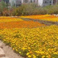 باغ ویلا ۴۰۰۰متری و ۵۰۰۰متری سربست هماشهر