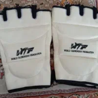 دستکش تکواندو