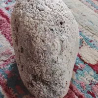 فروش شهاب سنگ|کلکسیون اشیاء عتیقه|چابهار, |دیوار