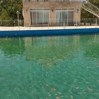 36هزارمترباغ دوردیوار|فروش دفتر صنعتی، کشاورزی، تجاری|مشهد, درزآب|دیوار