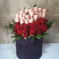 دیزایین.پول|گل و گیاه طبیعی|تهران, نعمت‌آباد|دیوار