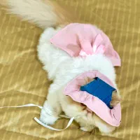 واگذاری عروسک کوچولوم