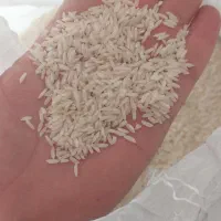 برنج طارم درجه یک|خوردنی و آشامیدنی|خوانسار, |دیوار