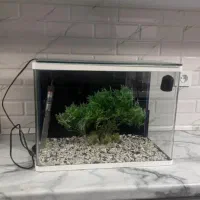 اکواریوم شرکتی