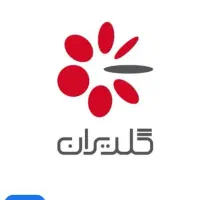 گلدیران نقد میکنیم 48 ساعت