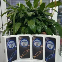 گوشی با اقساط عادلانه و بدون بهره/کارت حکمت