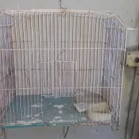 قفس پرنده