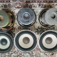 تعدادی باند خانگی