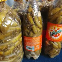 رب و خیار شور عالی درجه یک