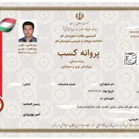 چک صیادی، پروانه (جواز) کسب صنفی، مجوز مشاغل خانگی