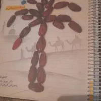 کتاب تست جامع کنکور انسانی|کتاب و مجله آموزشی|دشتابی, |دیوار