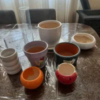 گلدان در طرح و مدل مختلف