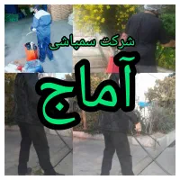 شرکت سمپاشی آماج سم پاشی ساس سوسک کک کنه،موش درخت.|خدمات نظافت|شهریار, شهریار|دیوار