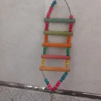نردبان عروس هلندی مرغ عشق مینا